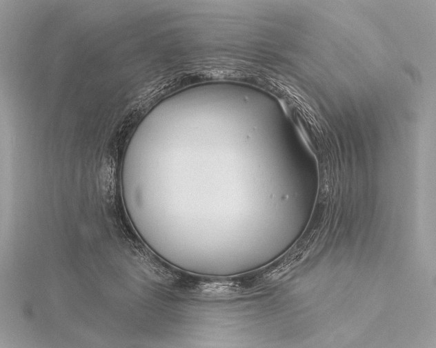 X0000115810461200912041610
