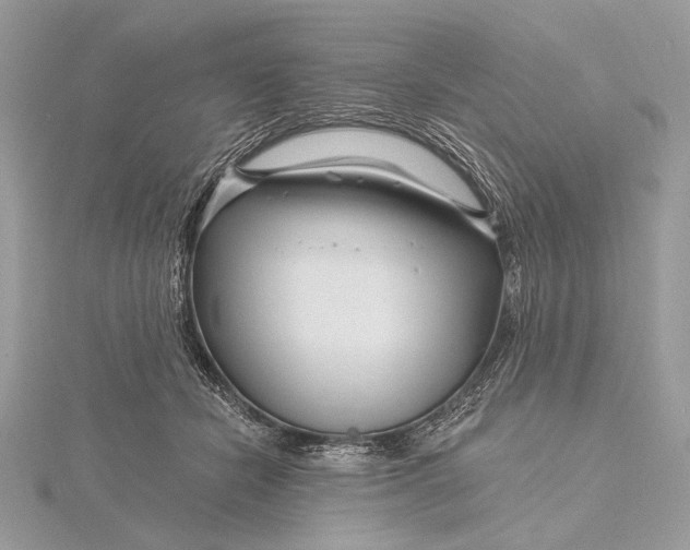 X0000115810462200912041610