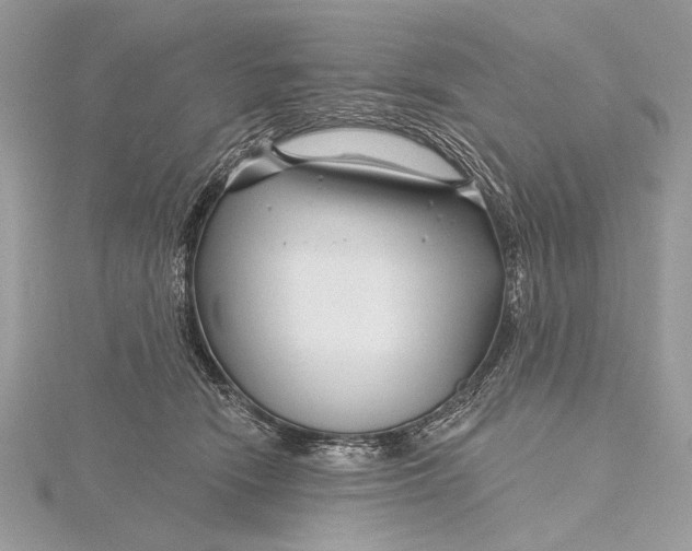 X0000115810466200912041610