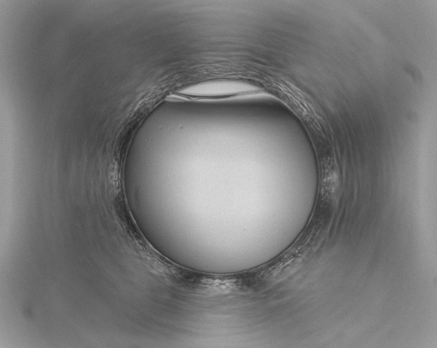 X0000115810469200912041610