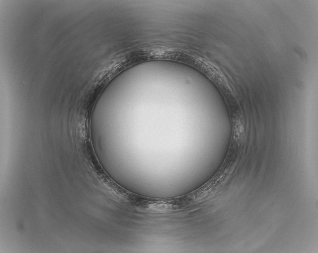 X0000115810470200912041610