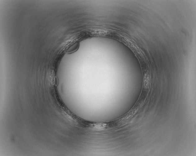 X0000115810474200912041610