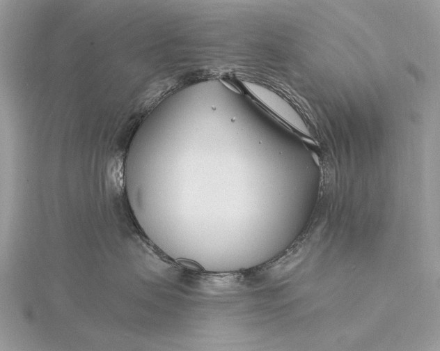 X0000115810479200912041611