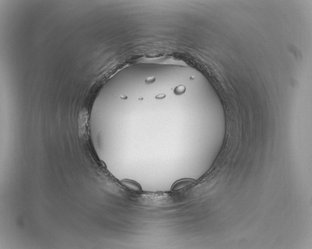 X0000115810480200912041611