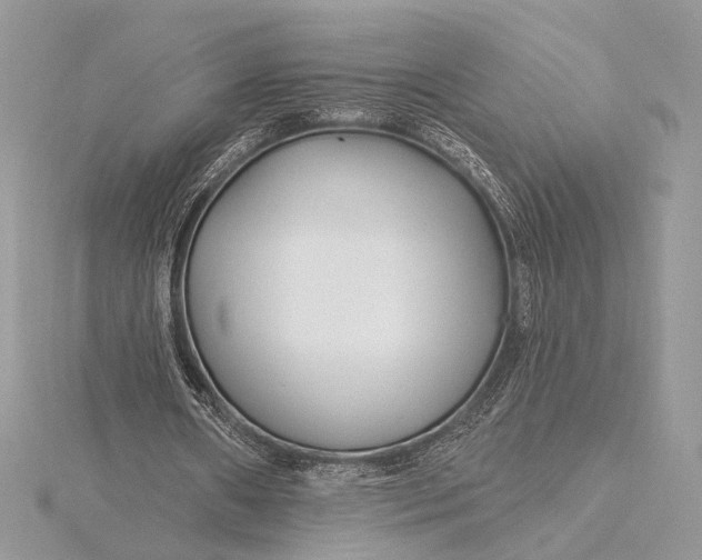 X0000115810482200912041610