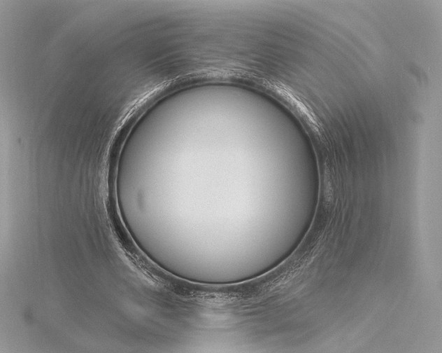 X0000115810486200912041610