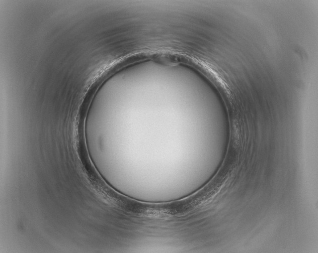 X0000115810487200912041610