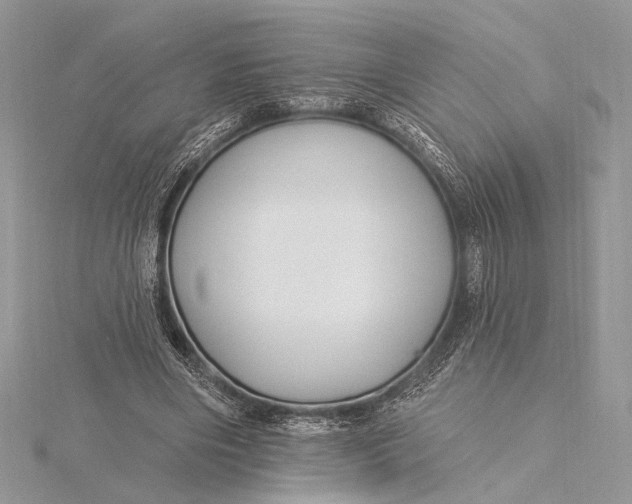 X0000115810490200912041610
