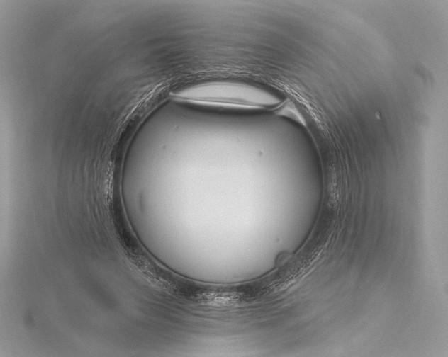 X0000115810495200912041610