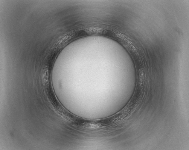 X0000115810498200912041610