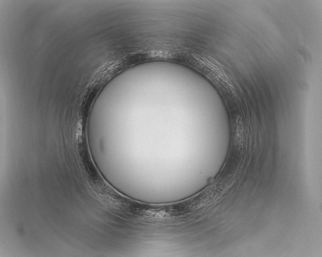 X0000115810502200912041610