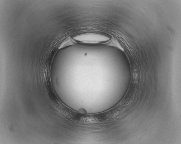 X0000115810503200912041609