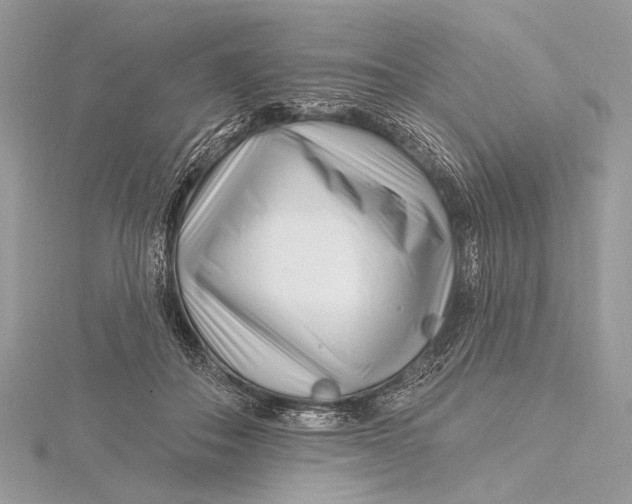 X0000115810506200912041609