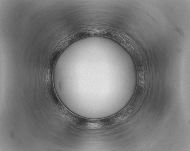 X0000115810510200912041609