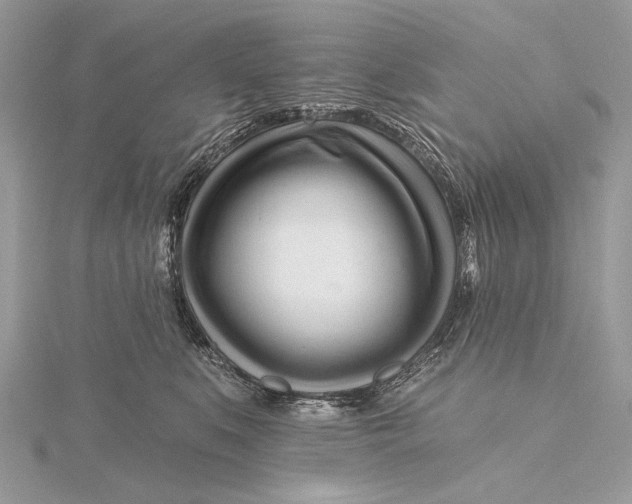X0000115810519200912041609