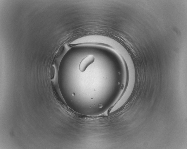 X0000115810524200912041609