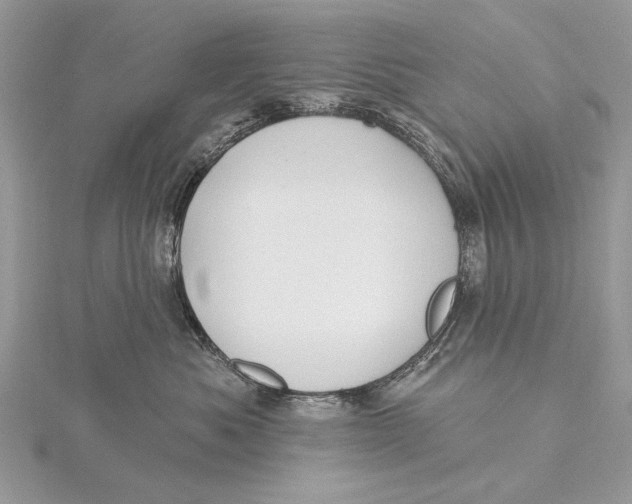 X0000115810525200912041609