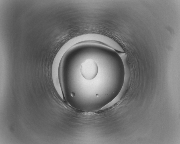X0000115810528200912041609
