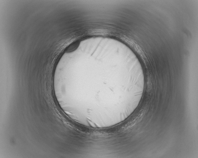 X0000115810529200912041609