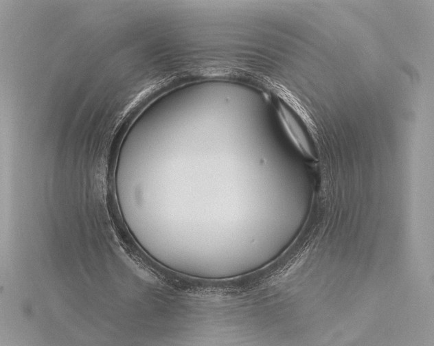 X0000115810530200912041609