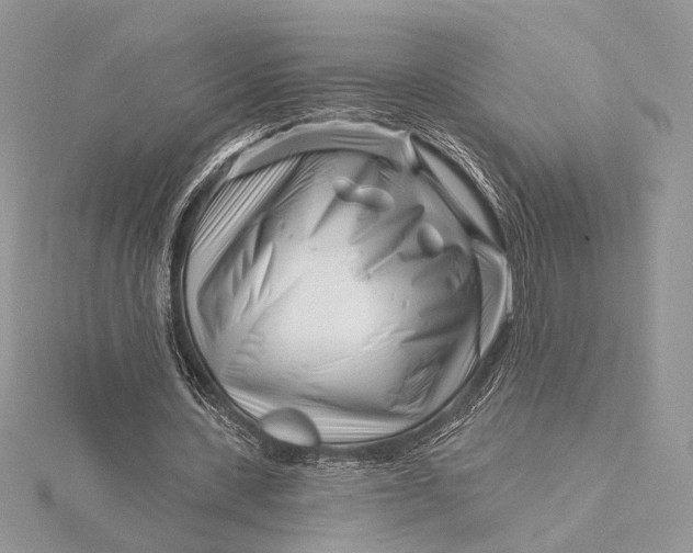X0000115810531200912041609