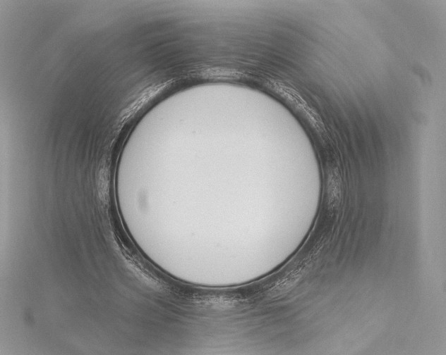 X0000115810533200912041609