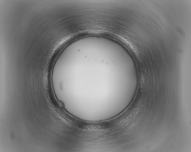 X0000115810535200912041609