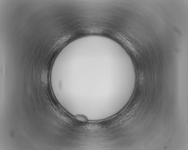 X0000115810537200912041609