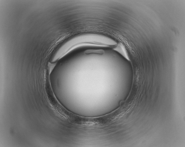 X0000115810542200912041609