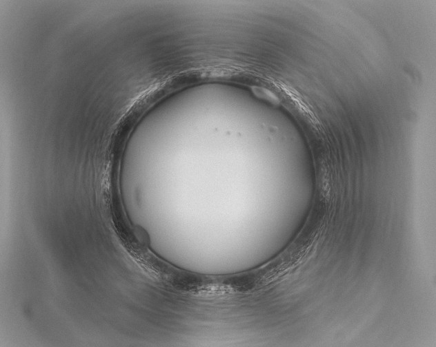 X0000115810543200912041609
