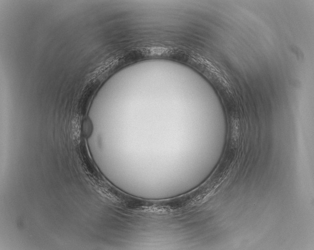X0000115810545200912041609