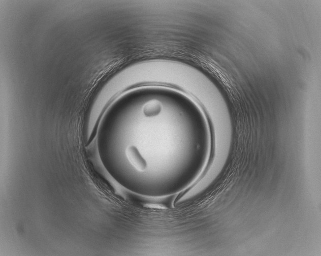 X0000115810546200912041609