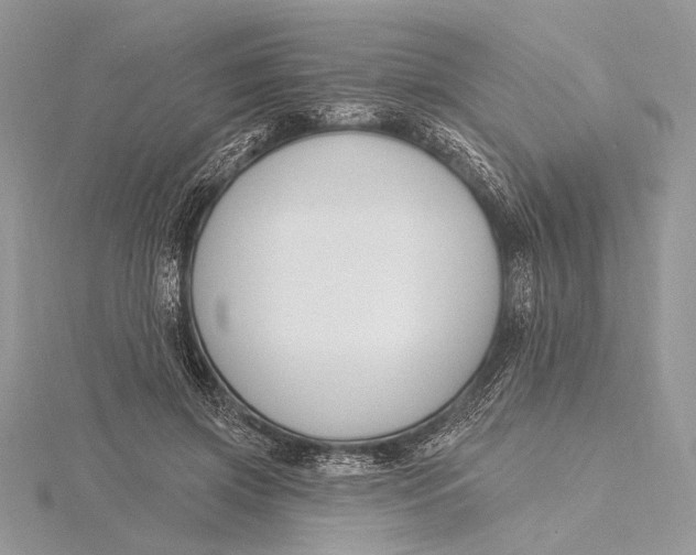 X0000115810549200912041609