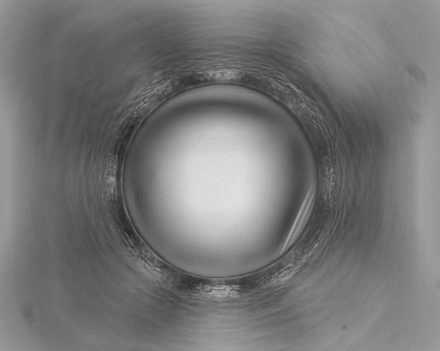 X0000115810553200912041609