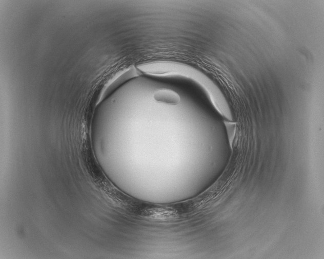 X0000115810555200912041609