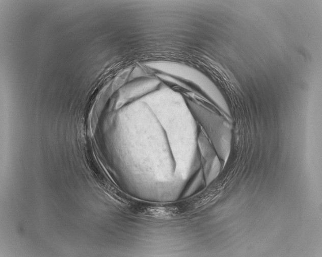 X0000115810558200912041609