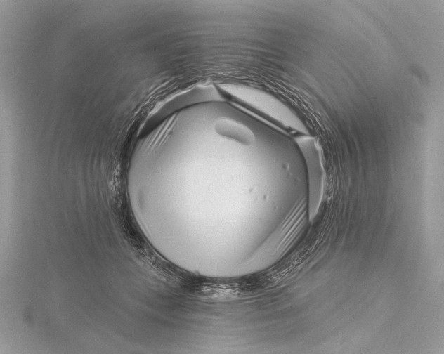 X0000115810559200912041609