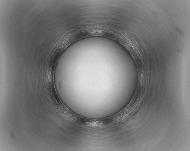 X0000115810561200912041609