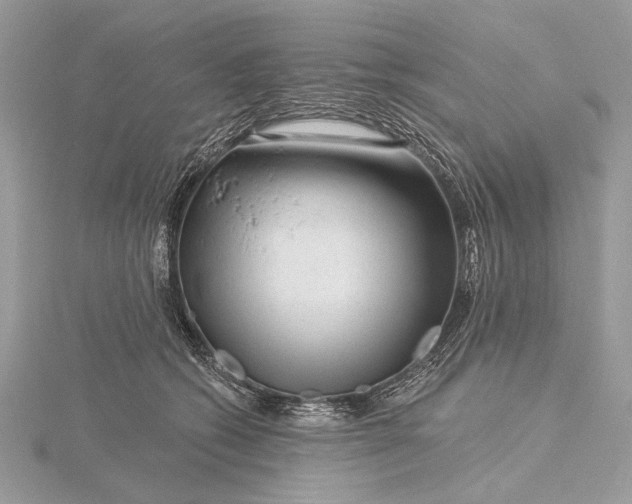 X0000115810562200912041609