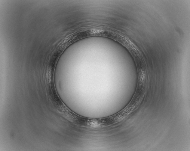X0000115810565200912041609