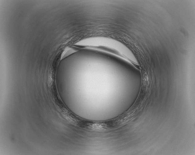 X0000115810566200912041609