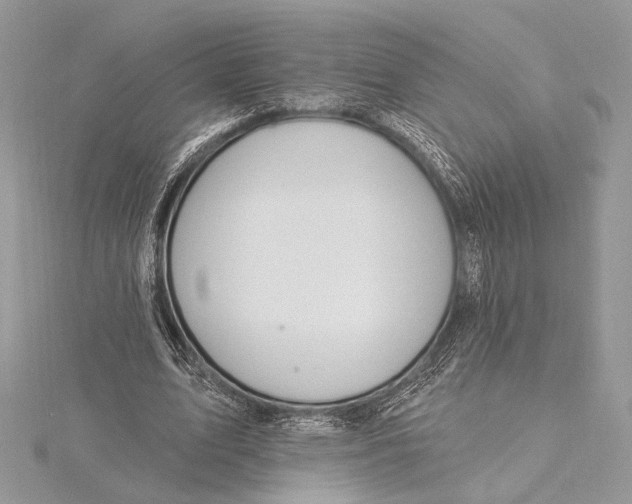 X0000115810583200912041608
