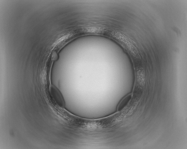 X0000115810587200912041608