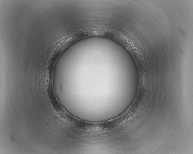 X0000115810594200912041608