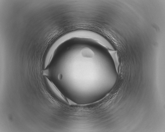 X0000115810597200912041608