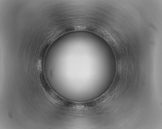 X0000115810598200912041608