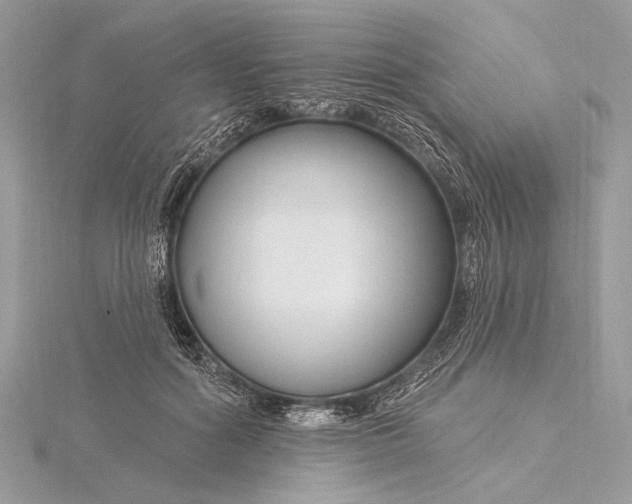 X0000115810602200912041608
