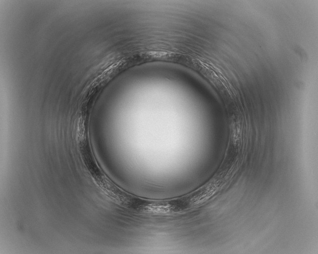 X0000115810606200912041608