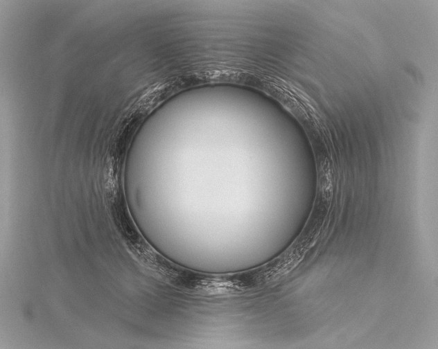 X0000115810607200912041608