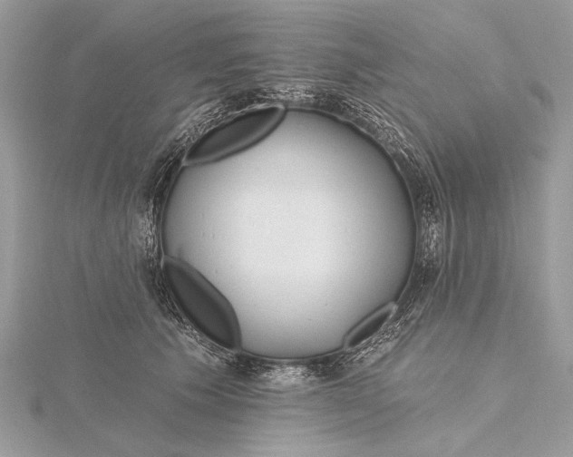 X0000115810609200912041608